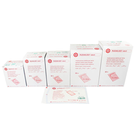 Bild eines Pakets mit Noba Rudavlies Steri Verbandpflaster, das 50 Stück enthält. Die Verpackung zeigt eine klare Abbildung des Inhalts mit einem weißen Hintergrund, auf dem das Produkt in verschiedenen Größen und Anwendungsbeispielen dargestellt ist. Das Design ist modern und ansprechend, mit dem Noba-Logo gut sichtbar oben. Die Pflaster sind dazu gedacht, Wunden hygienisch zu versorgen und sind für den einmaligen Gebrauch geeignet. Das Bild vermittelt Qualität und trägt zur Vertrauensbildung bei.