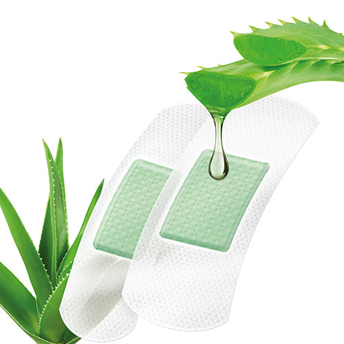 Weißes Pflaster mit Aloe Vera, präsentiert in einer attraktiven Verpackung, fotografiert auf einem neutralen Hintergrund. Die Verpackung zeigt klare Informationen über das Produkt, darunter den Namen "Lifemed 10 Pflaster Strips" und zwei Größenoptionen. Die Pflaster sind für die Wundversorgung konzipiert, wobei die Aloe Vera für hautberuhigende Eigenschaften steht. Die Verpackung ist ansprechend und farblich abgestimmt, um Benutzerfreundlichkeit und Verfügbarkeit zu betonen.