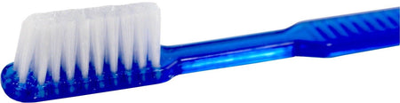 Medi-Inn Einmalzahnbürsten mit Zahnpasta blau