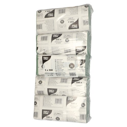Papstar Papierhandtücher V-Falz 23 cm x 25 cm grün Zick Zack 1-lagig (20 x 250 Blatt = 5000 Blatt)