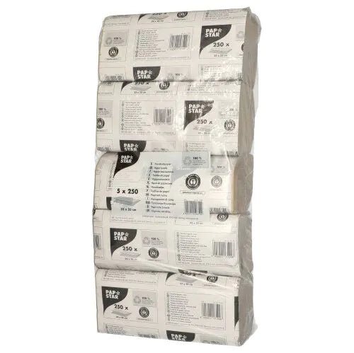Papstar Papierhandtücher V-Falz 23 cm x 25 cm natur Zick Zack, 1-lagig (20 x 250 Blatt = 5000 Blatt)